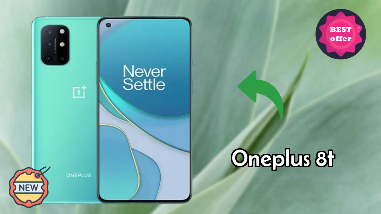 OnePlus 8T कैमरा सैंपल: 48 MP + 16 MP + 5 MP + 2 MP Rear Camera क्वॉलिटी टेस्ट