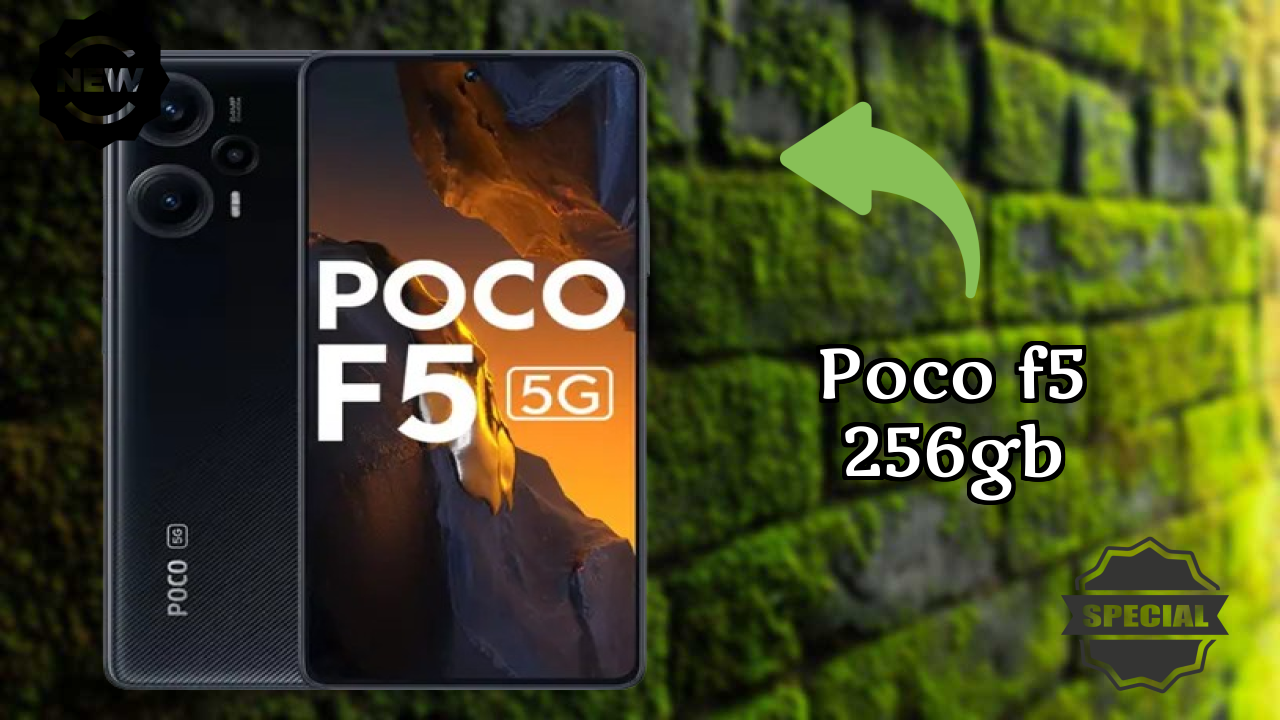 POCO F5 256GB कैमरा सैंपल: 64 MP + 8 MP + 2 MP Rear Camera रियल टेस्ट